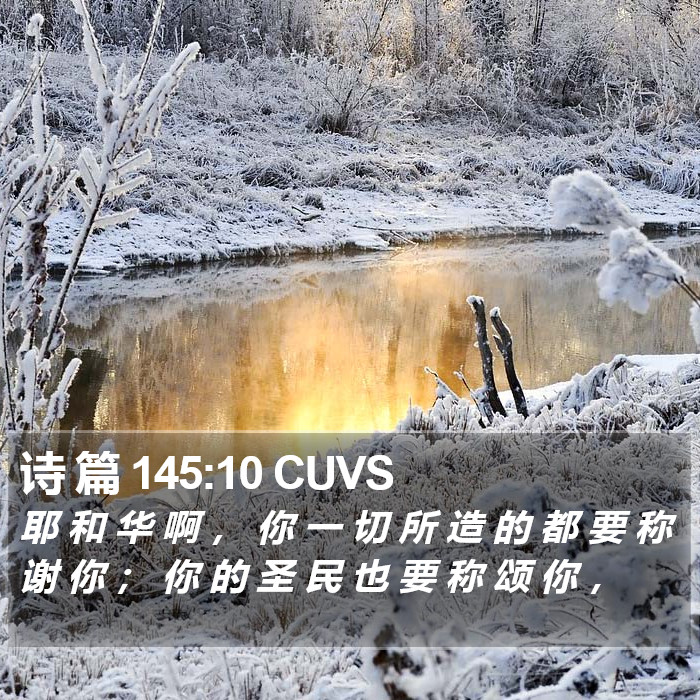 诗 篇 145:10 CUVS Bible Study