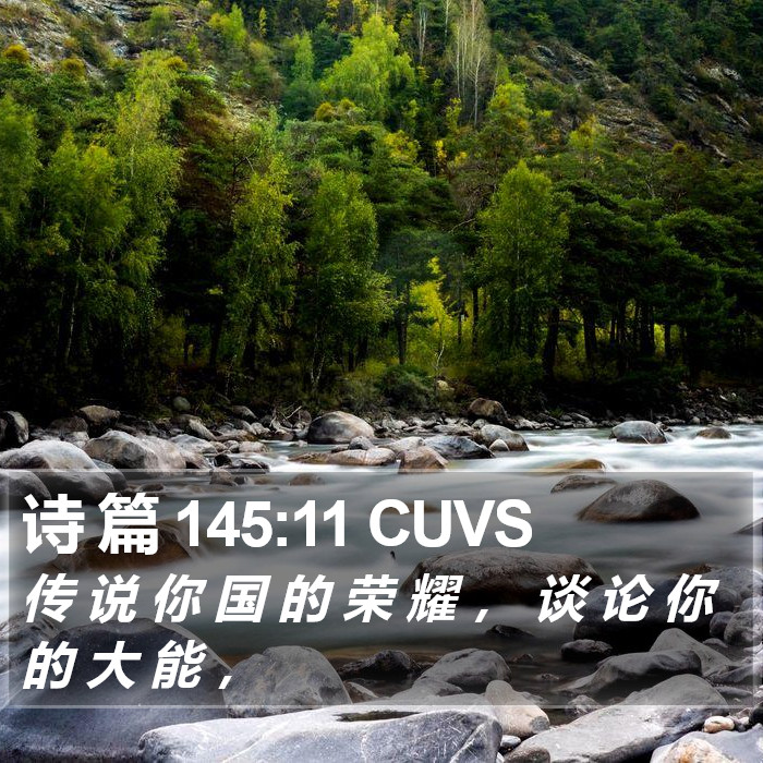 诗 篇 145:11 CUVS Bible Study