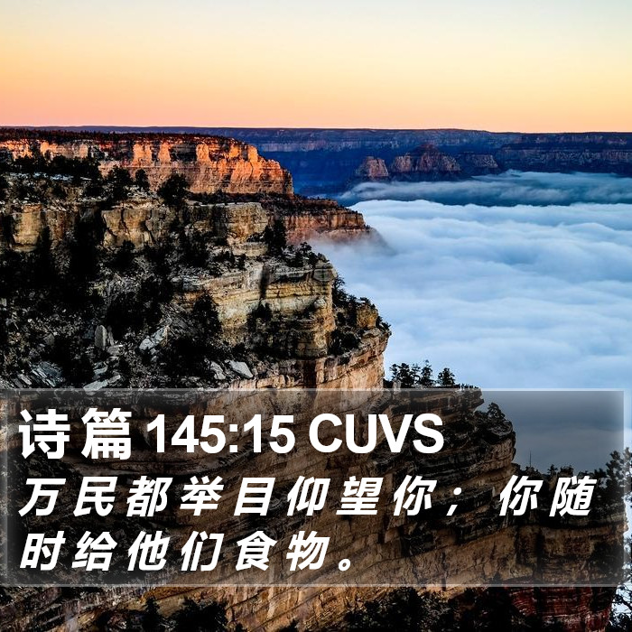 诗 篇 145:15 CUVS Bible Study