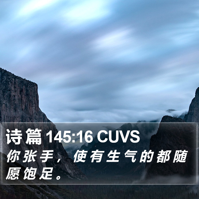 诗 篇 145:16 CUVS Bible Study