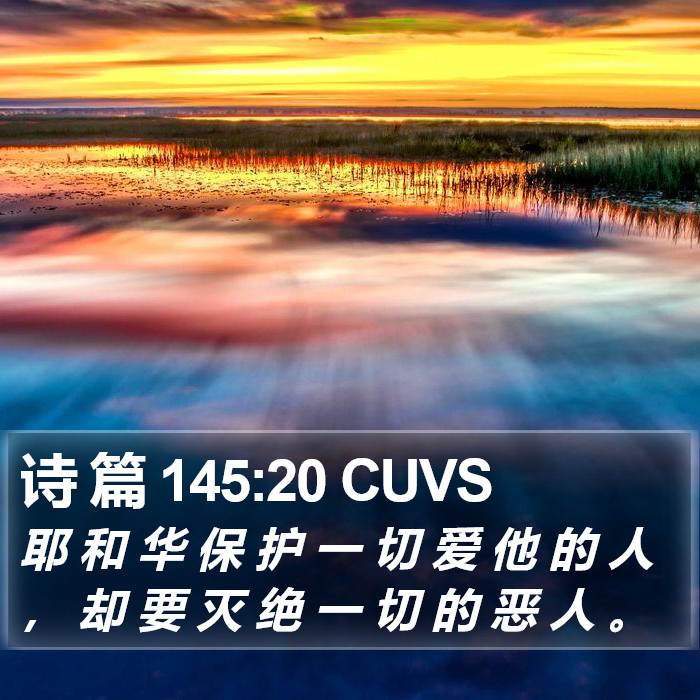 诗 篇 145:20 CUVS Bible Study