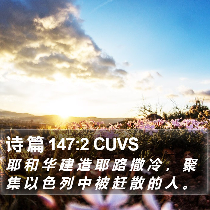 诗 篇 147:2 CUVS Bible Study