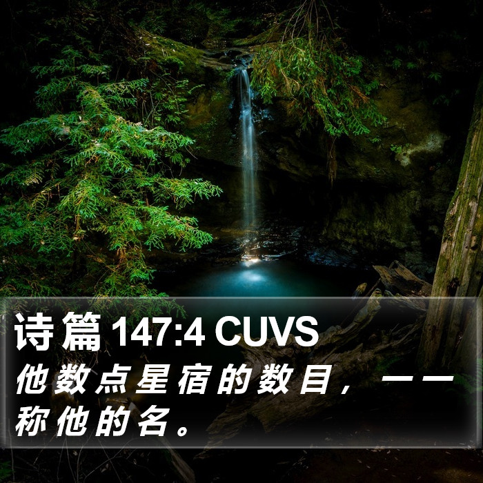 诗 篇 147:4 CUVS Bible Study