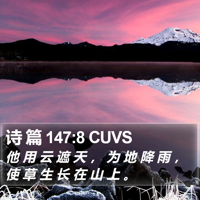 诗 篇 147:8 CUVS Bible Study