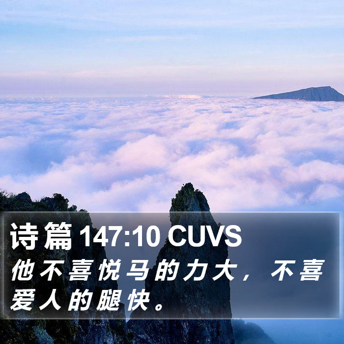 诗 篇 147:10 CUVS Bible Study