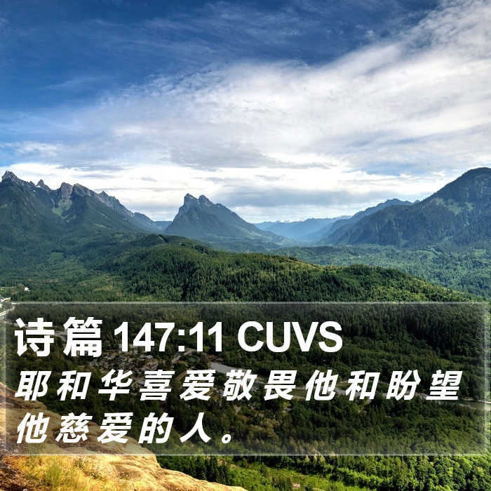 诗 篇 147:11 CUVS Bible Study