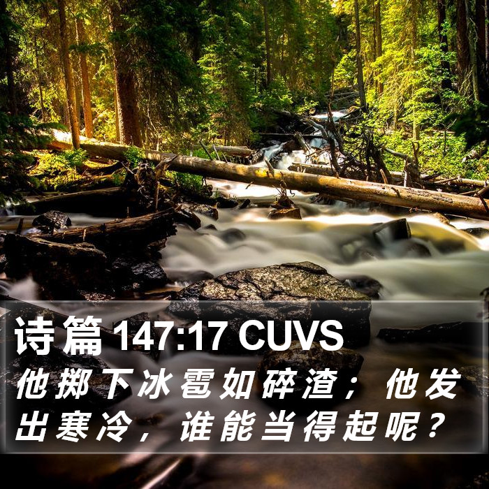 诗 篇 147:17 CUVS Bible Study