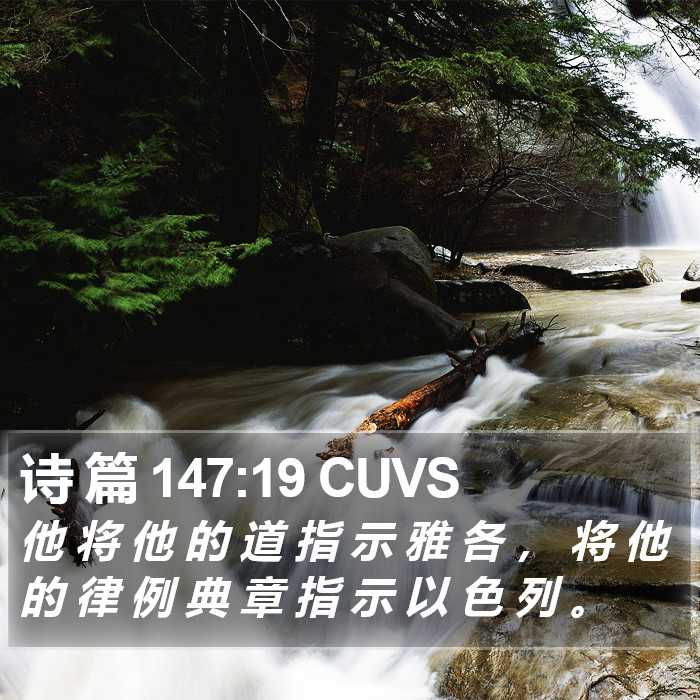 诗 篇 147:19 CUVS Bible Study