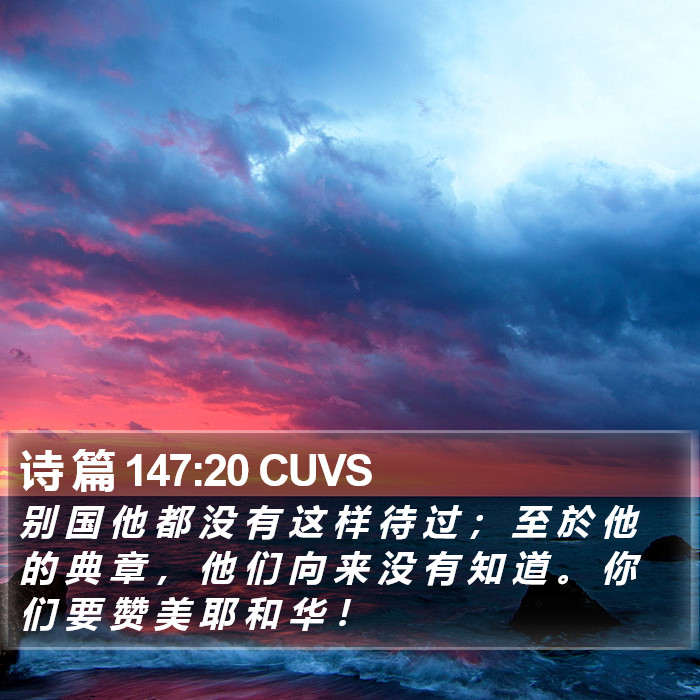 诗 篇 147:20 CUVS Bible Study