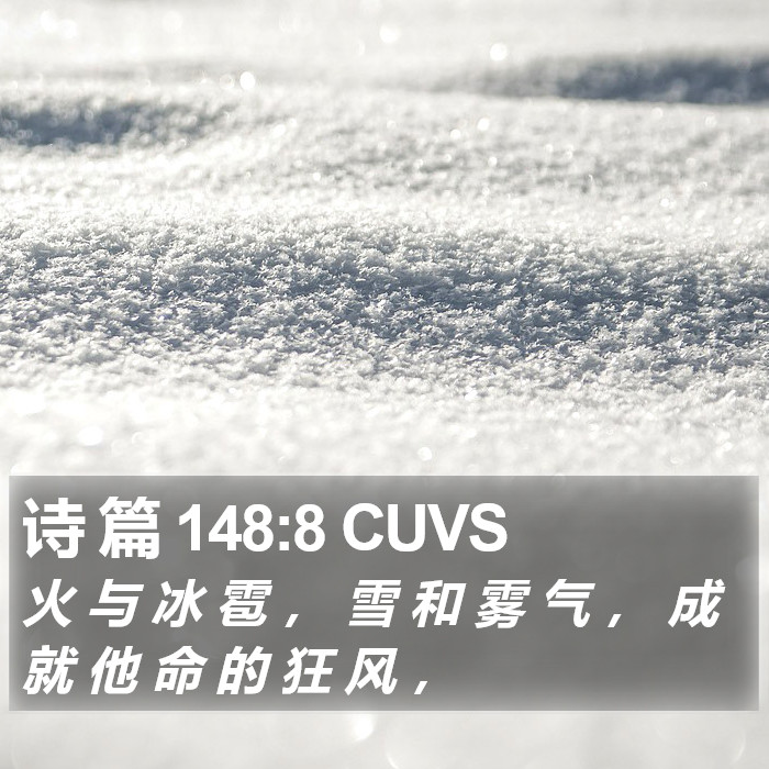 诗 篇 148:8 CUVS Bible Study