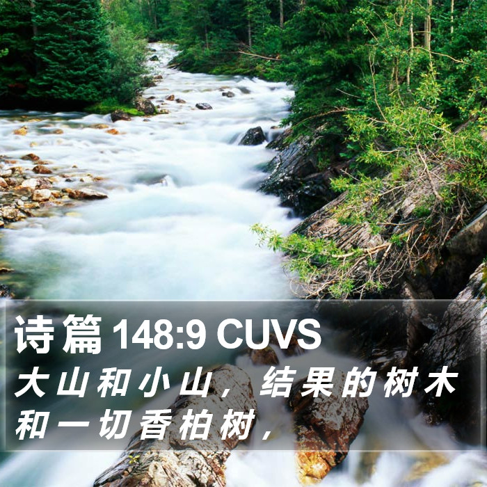 诗 篇 148:9 CUVS Bible Study