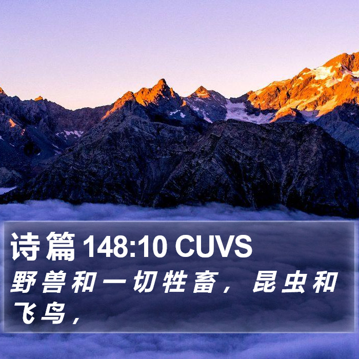 诗 篇 148:10 CUVS Bible Study