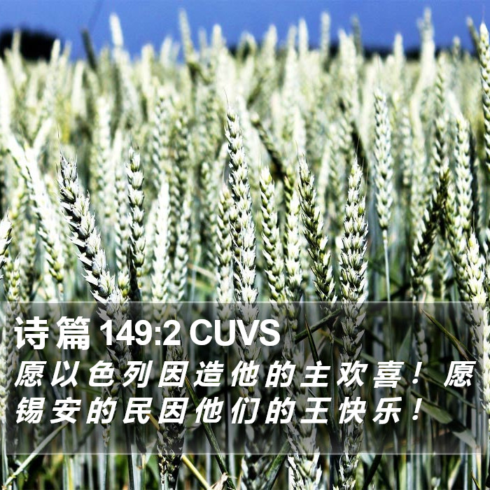 诗 篇 149:2 CUVS Bible Study