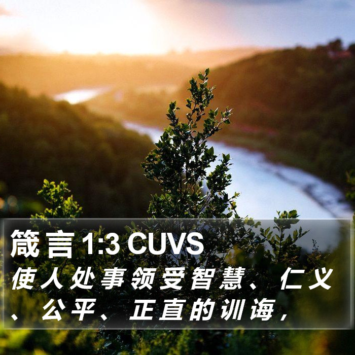 箴 言 1:3 CUVS Bible Study