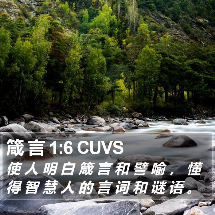 箴 言 1:6 CUVS Bible Study