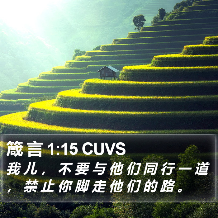 箴 言 1:15 CUVS Bible Study