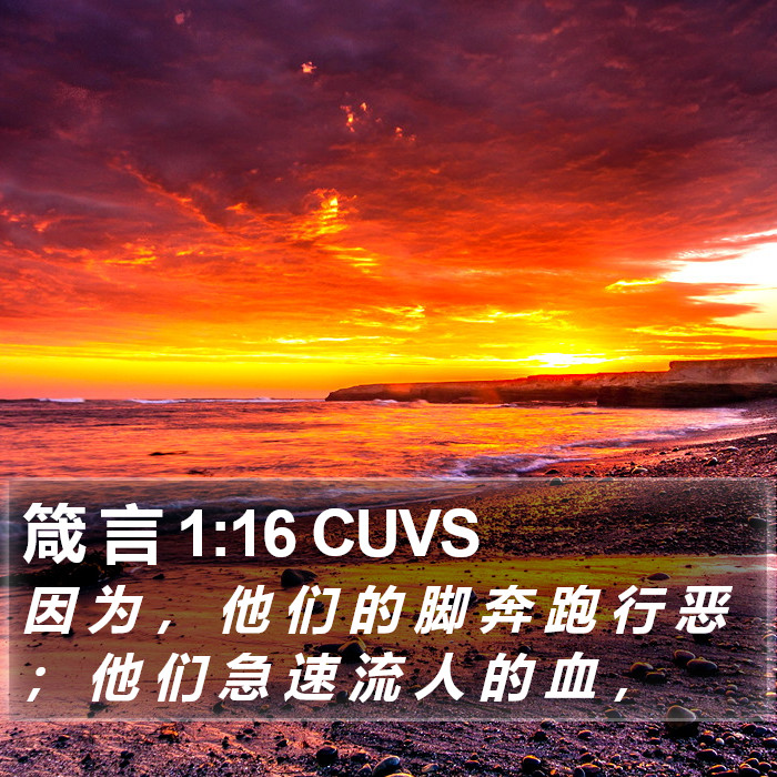 箴 言 1:16 CUVS Bible Study