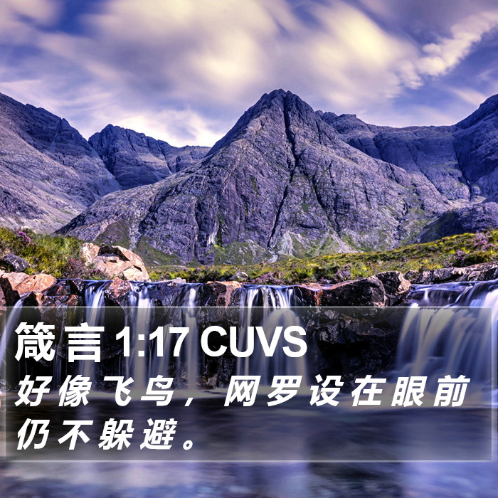 箴 言 1:17 CUVS Bible Study