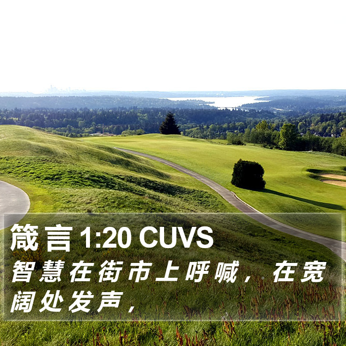 箴 言 1:20 CUVS Bible Study