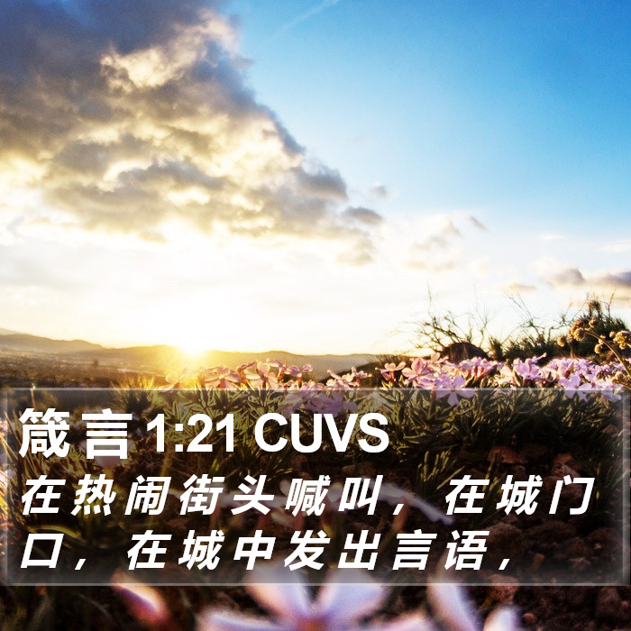 箴 言 1:21 CUVS Bible Study