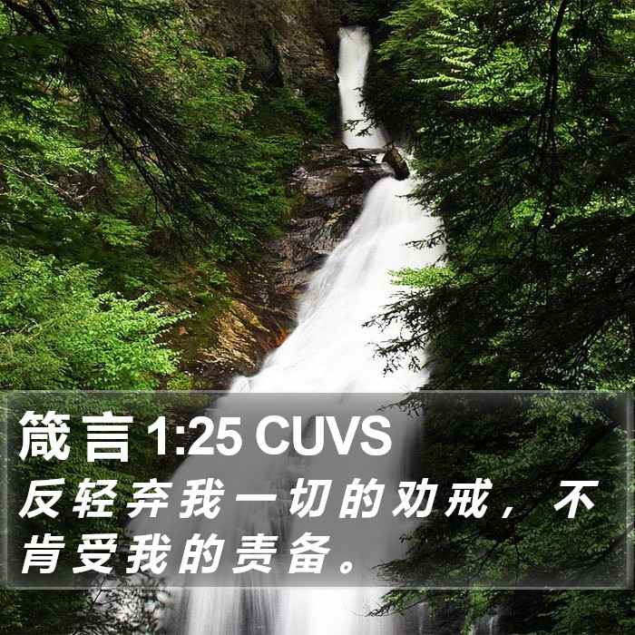 箴 言 1:25 CUVS Bible Study