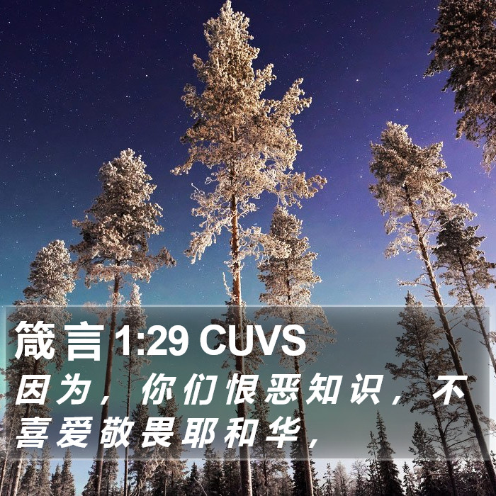 箴 言 1:29 CUVS Bible Study