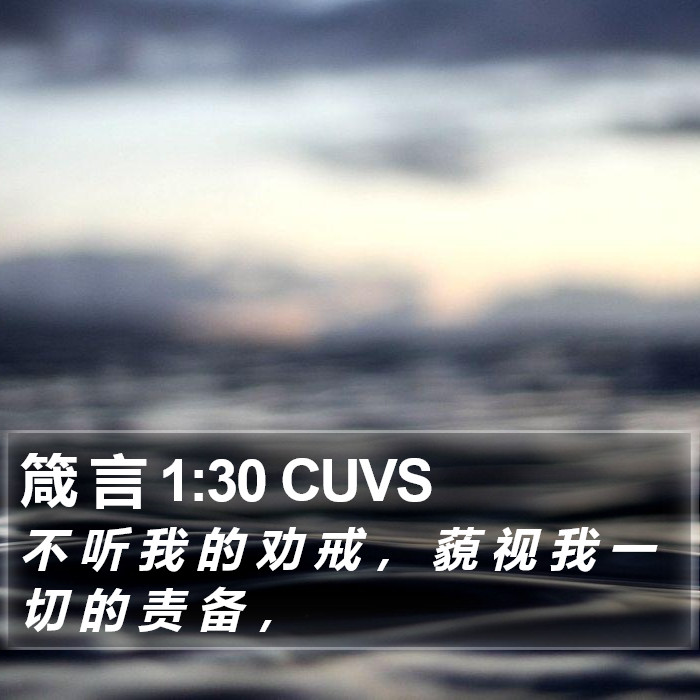 箴 言 1:30 CUVS Bible Study