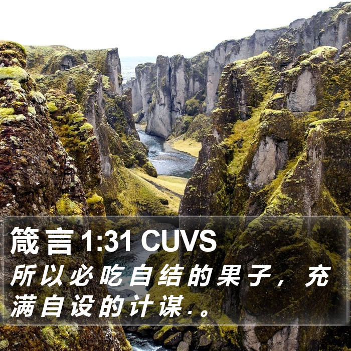 箴 言 1:31 CUVS Bible Study