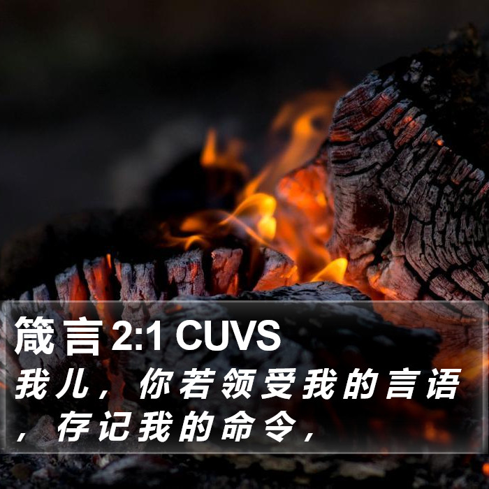 箴 言 2:1 CUVS Bible Study