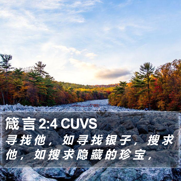 箴 言 2:4 CUVS Bible Study