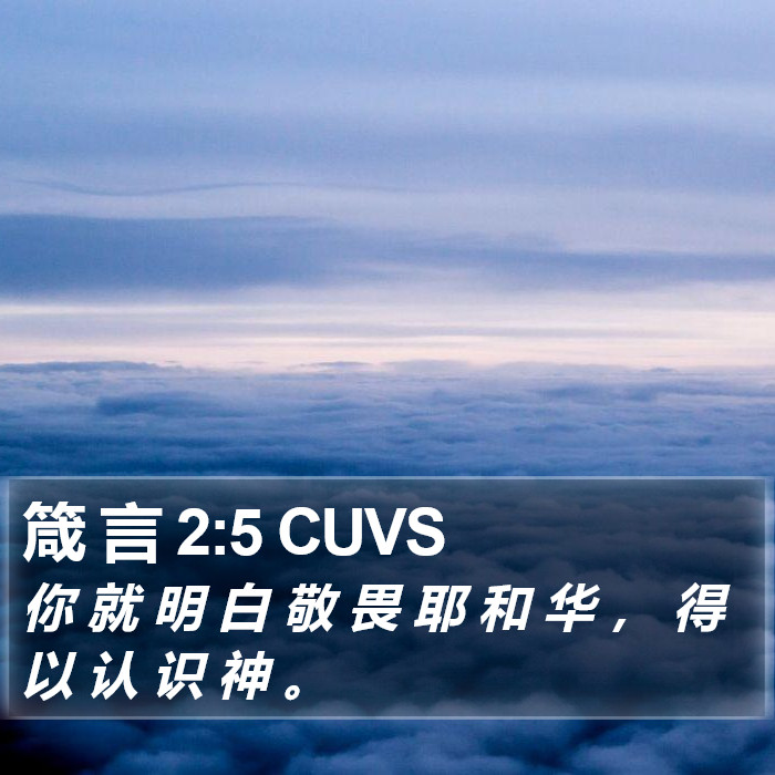 箴 言 2:5 CUVS Bible Study