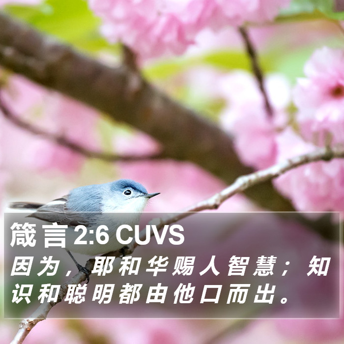 箴 言 2:6 CUVS Bible Study