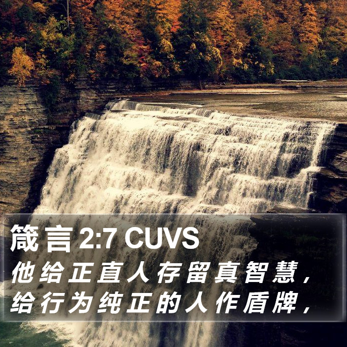 箴 言 2:7 CUVS Bible Study