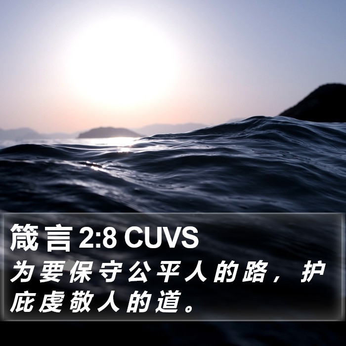 箴 言 2:8 CUVS Bible Study