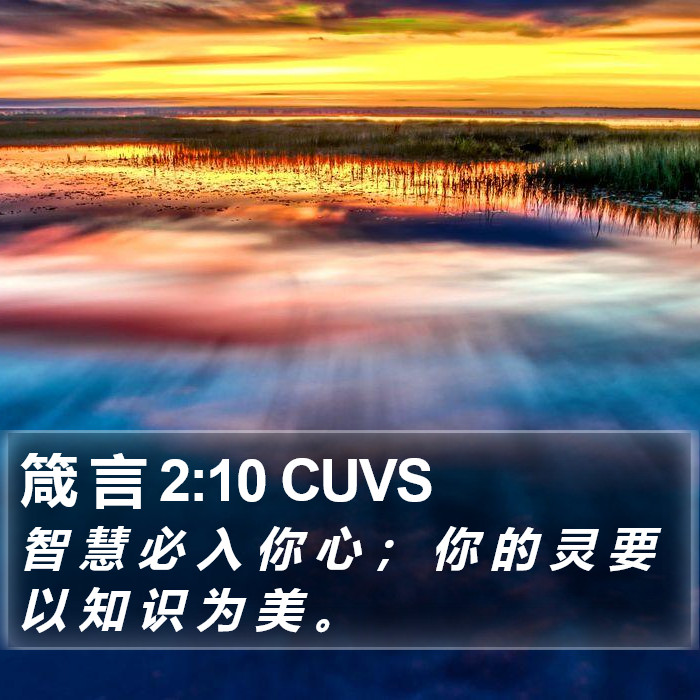 箴 言 2:10 CUVS Bible Study