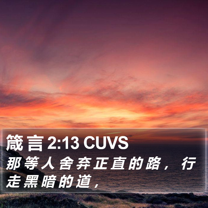 箴 言 2:13 CUVS Bible Study