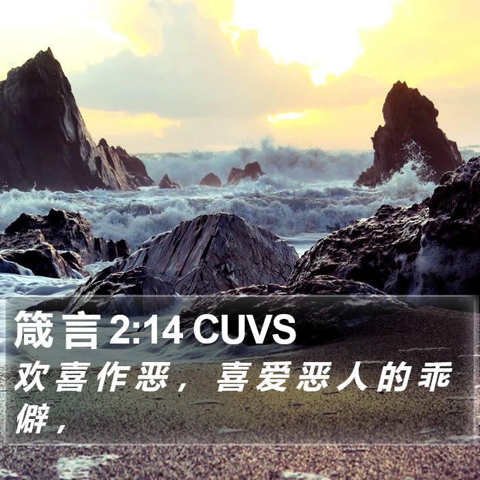 箴 言 2:14 CUVS Bible Study