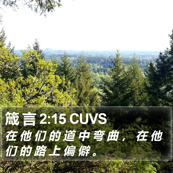 箴 言 2:15 CUVS Bible Study