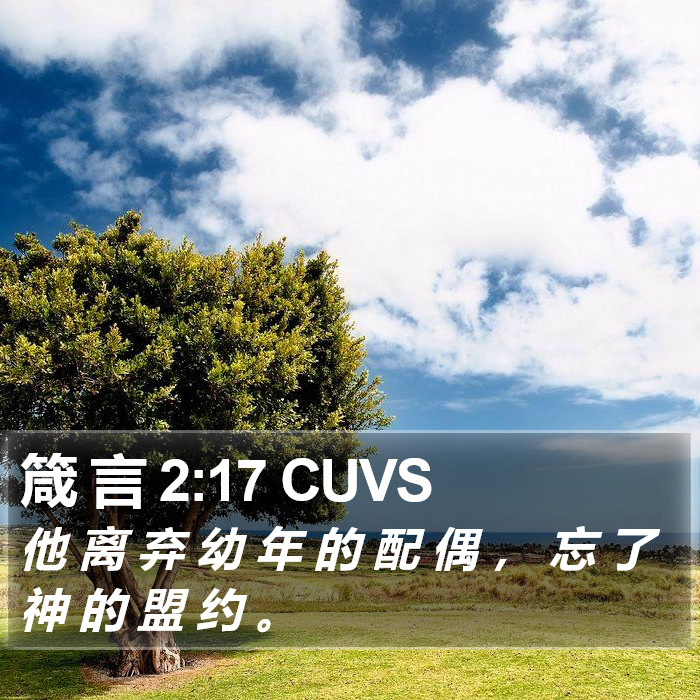 箴 言 2:17 CUVS Bible Study