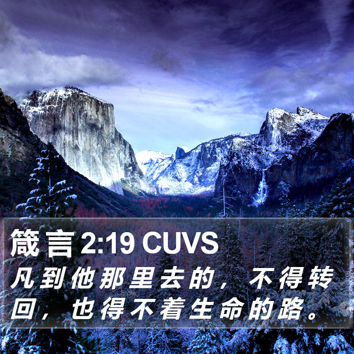 箴 言 2:19 CUVS Bible Study