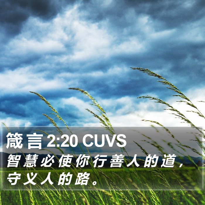 箴 言 2:20 CUVS Bible Study