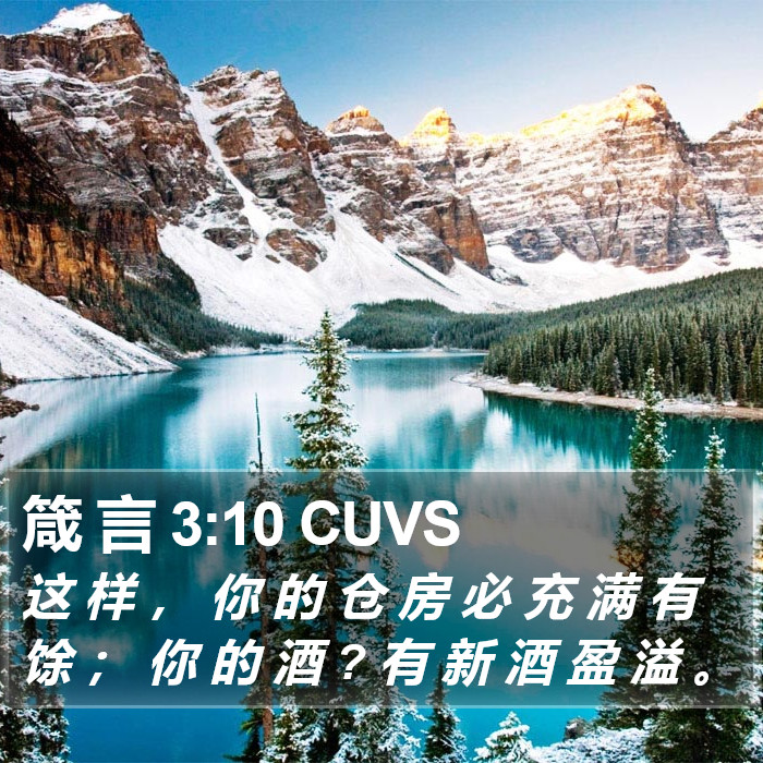 箴 言 3:10 CUVS Bible Study
