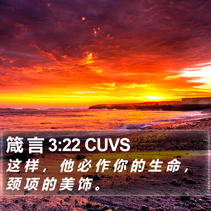 箴 言 3:22 CUVS Bible Study