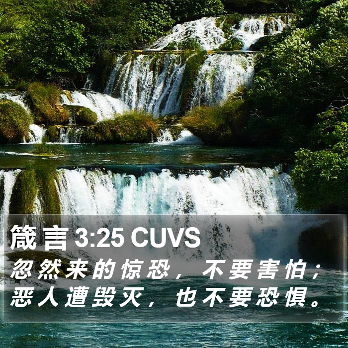 箴 言 3:25 CUVS Bible Study