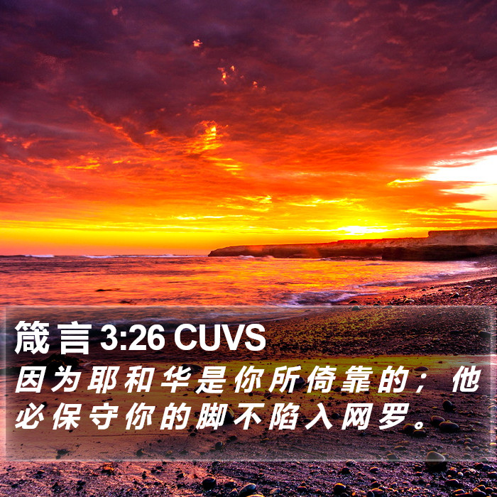 箴 言 3:26 CUVS Bible Study