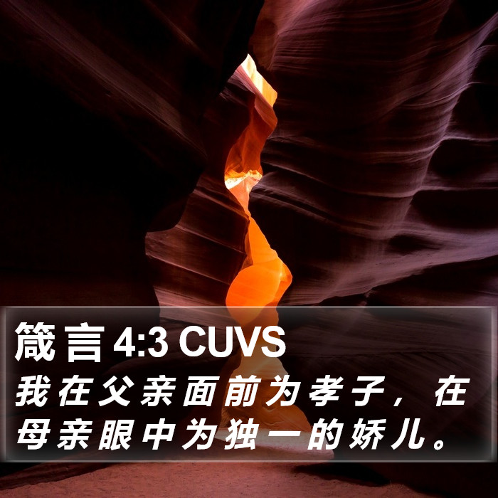 箴 言 4:3 CUVS Bible Study