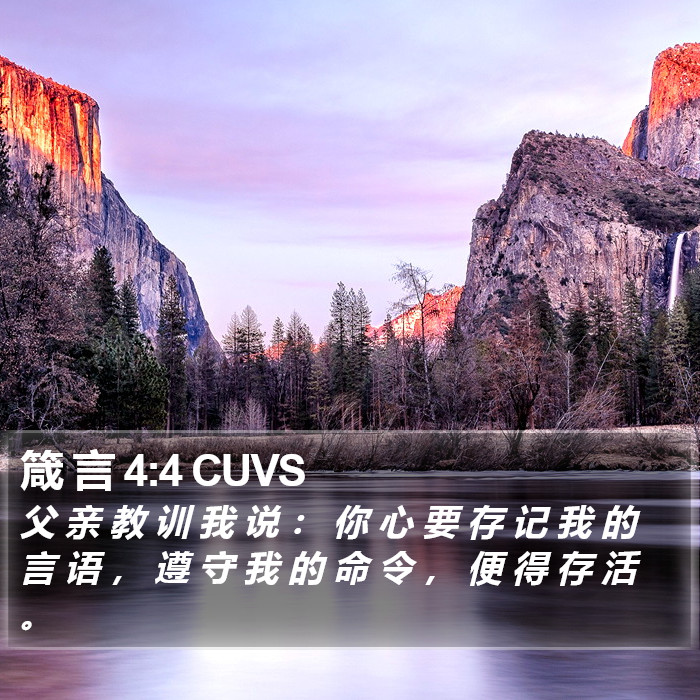 箴 言 4:4 CUVS Bible Study