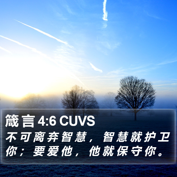 箴 言 4:6 CUVS Bible Study