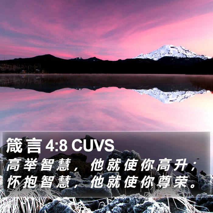 箴 言 4:8 CUVS Bible Study