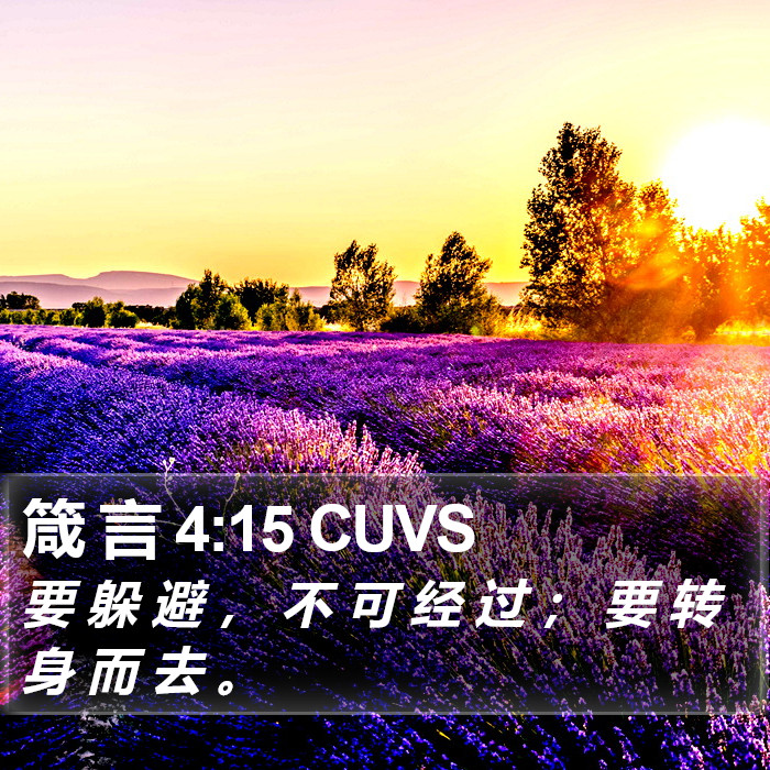 箴 言 4:15 CUVS Bible Study